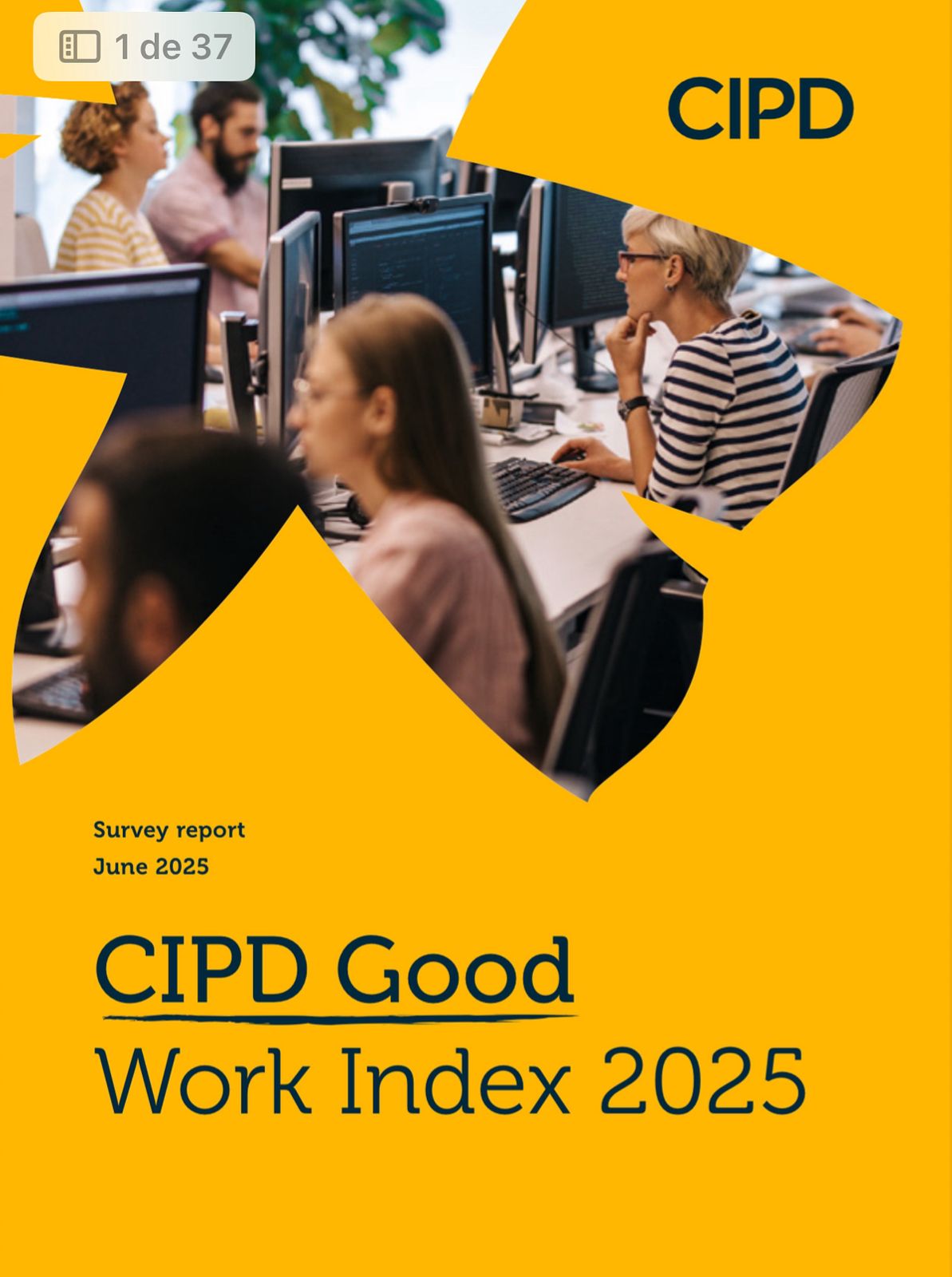 Good Work Index 2025 – CIPD (UK)